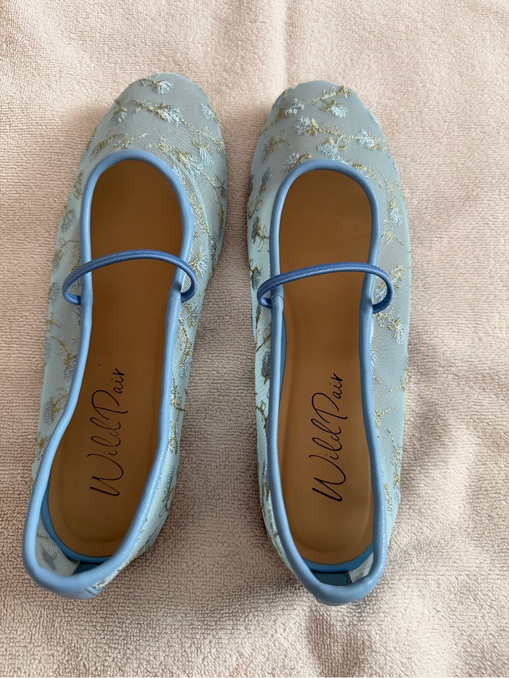 Wild Pair Powder Blue Embroidered Mary Jane Flats